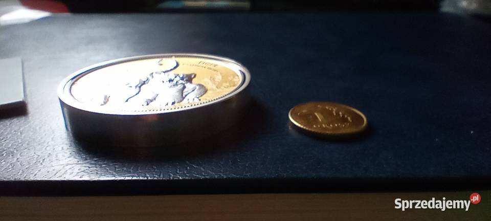 Stare monety Medal 233 Lesko