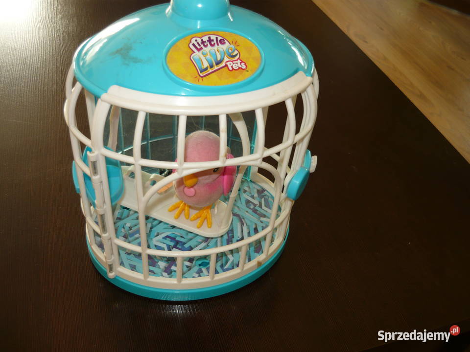 Zabawka sowa w klatce Pozostałe Szczecin