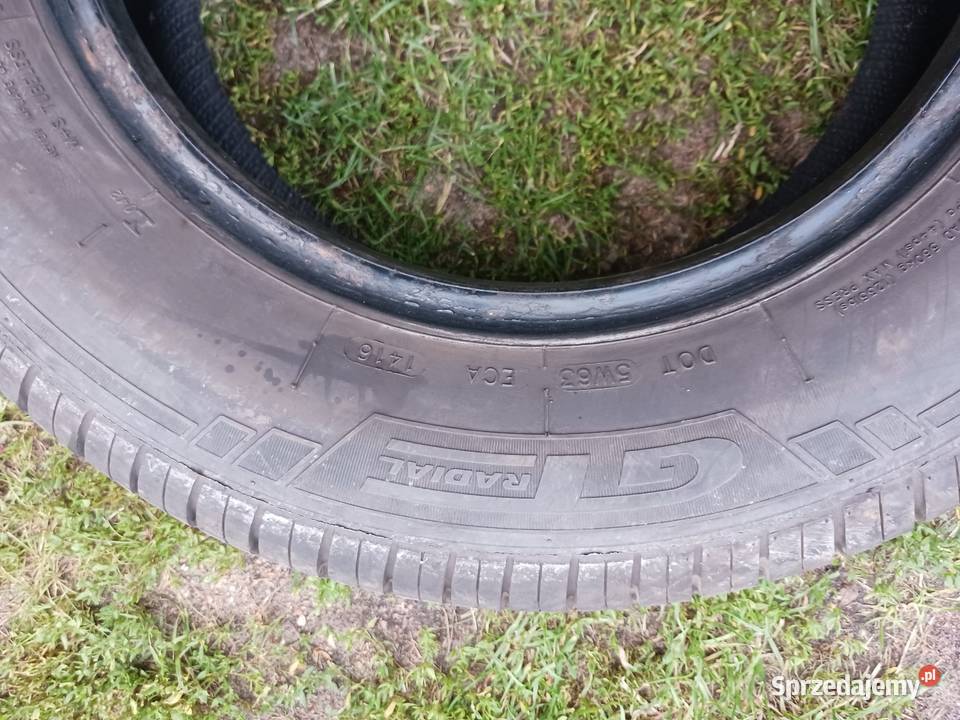 Opony LETNIE CHAMPIRO GT RADIAL 18570 R14 7mm Łochów