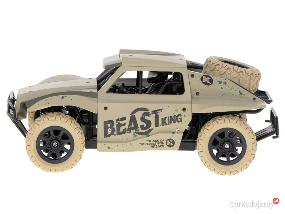 SAMOCHÓD RC RACING RALLY 24GHZ 4WD PUSTYNNY 118 Bielsk Podlaski