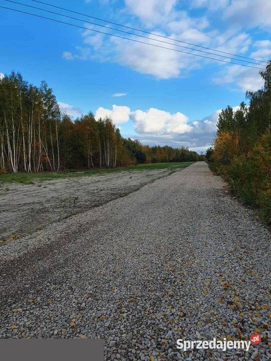Działki z WZ trasie E7 Radomia Sprzedaż mazowieckie Wielogóra