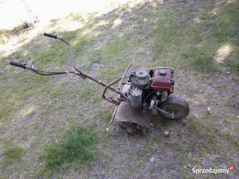 Glebogryzarka mrówka Kanie sprzedam