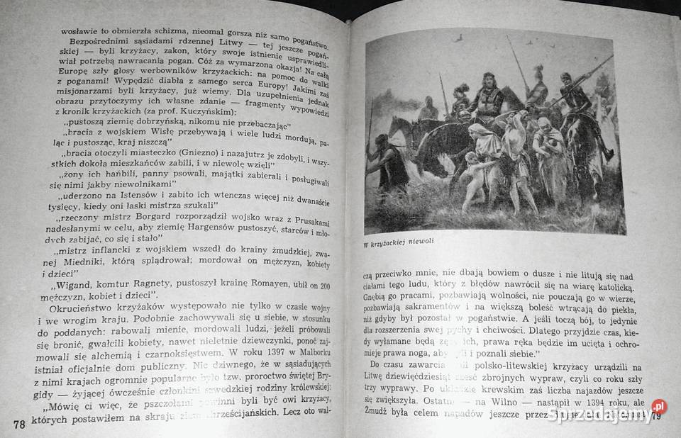 Królowa Jadwiga Opowieść o czasach i ludziach lubelskie Chełm sprzedam