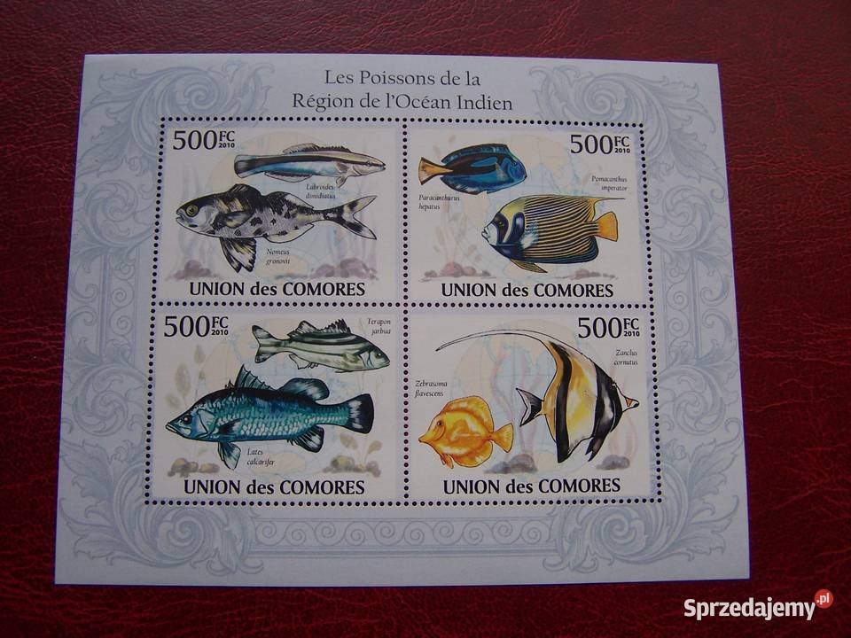 Komory 2010 MNH Fauna Ryby Oceanu Indyjskiego Tychy
