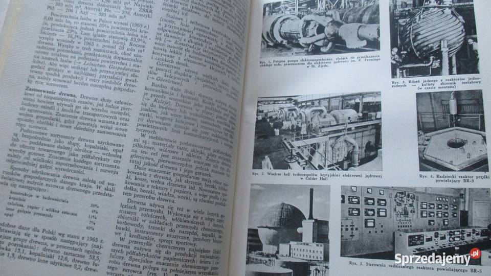 Encyklopedia Przyroda i Technika przyroda Książki naukowe i popularnonaukowe sprzedam
