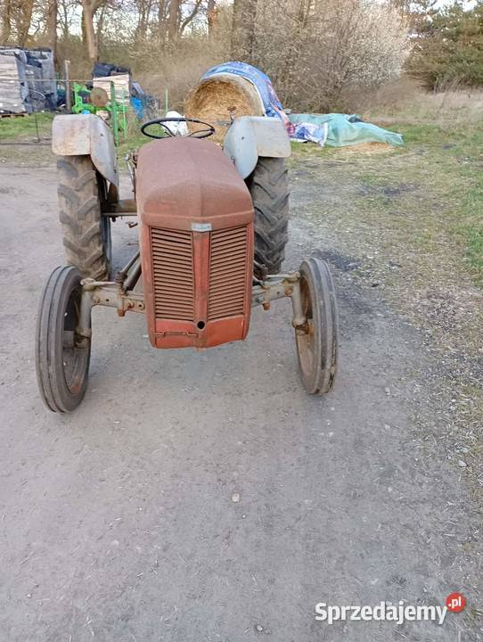 Sprzedam Fergusona TEA 20 Gniezno sprzedam