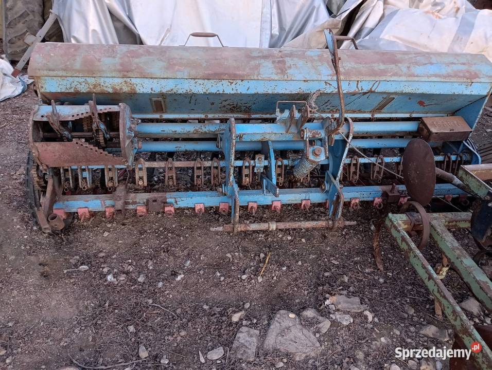 Siewnik świętokrzyskie Bieliny