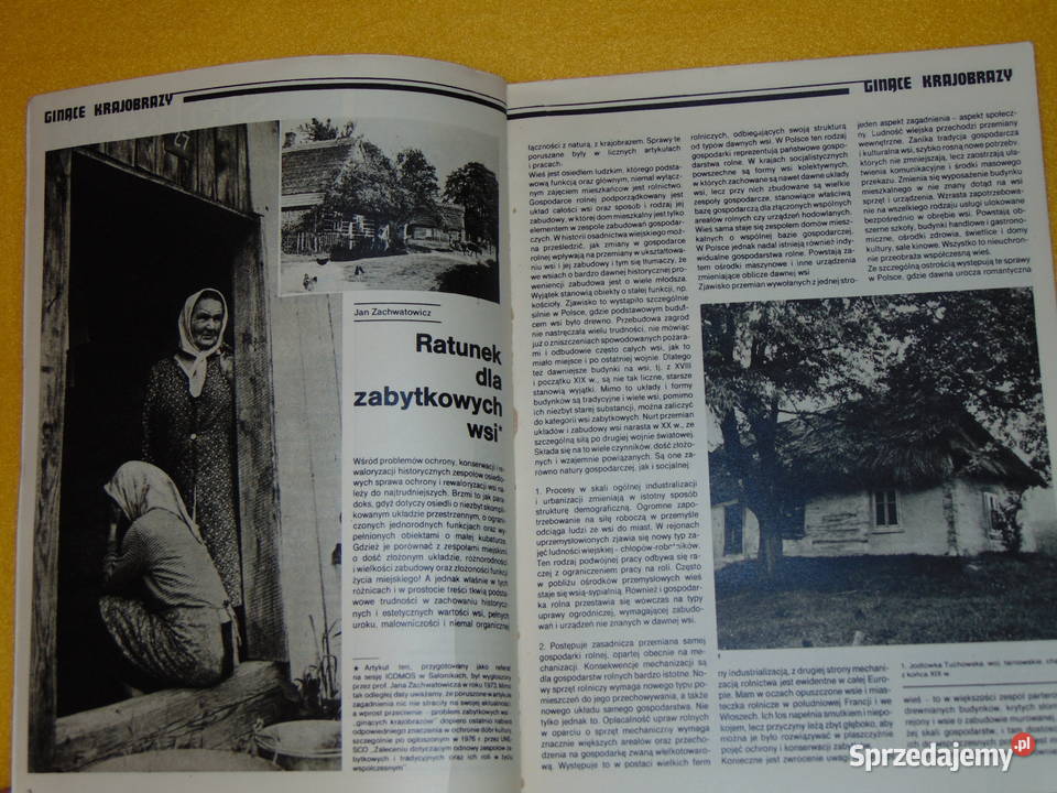 Spotkania z zabytkami 1981