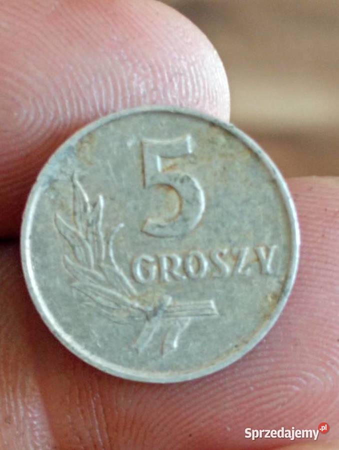 Sprzedam 5 groszy 1962 Numizmatyka Chełm sprzedam