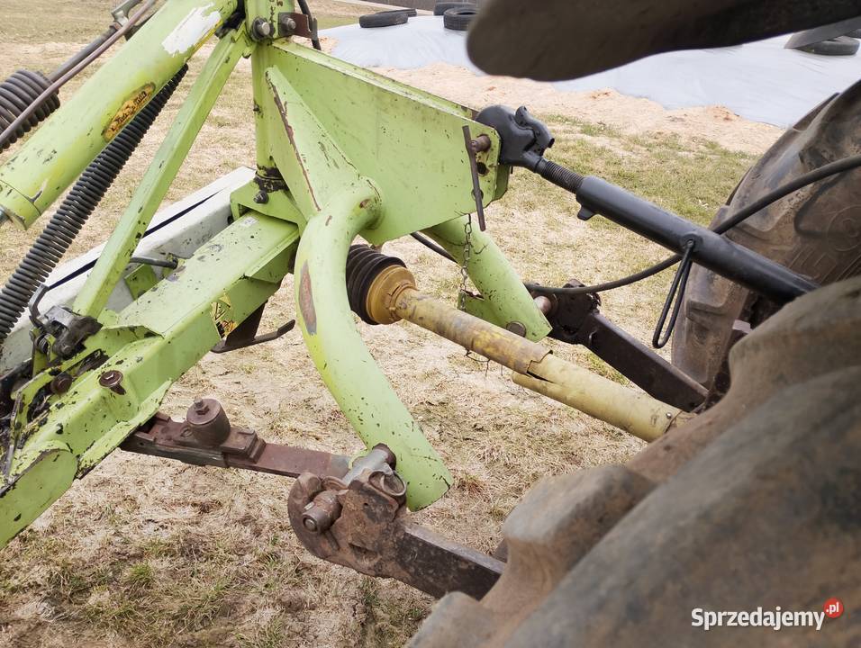 Kosiarka class disco Sejny