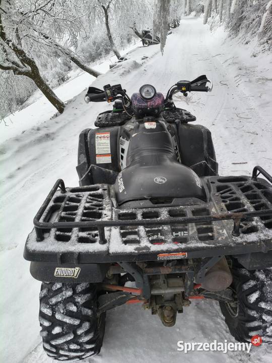 Polaris Sportsmen 700 2002 700cm3 Polaris