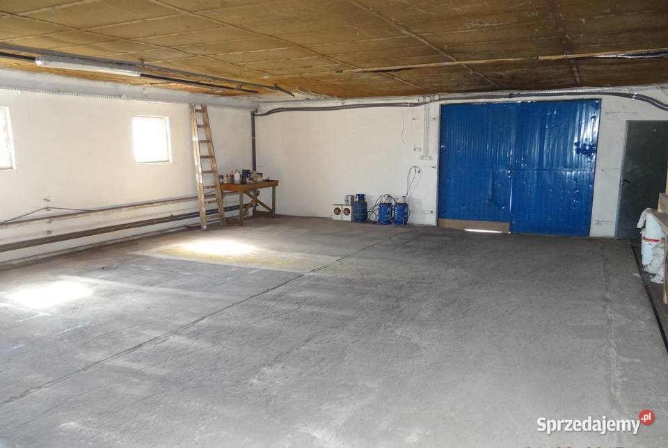 Nieruchomość działka 8500m dom 200m hala 900m Września