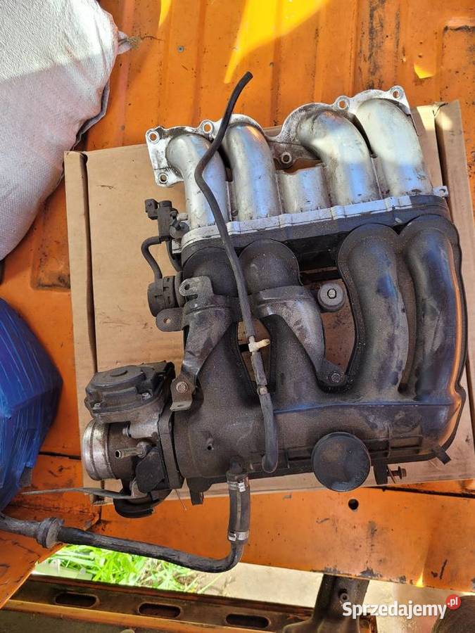 Kolektor ssący 18 agn Otomino