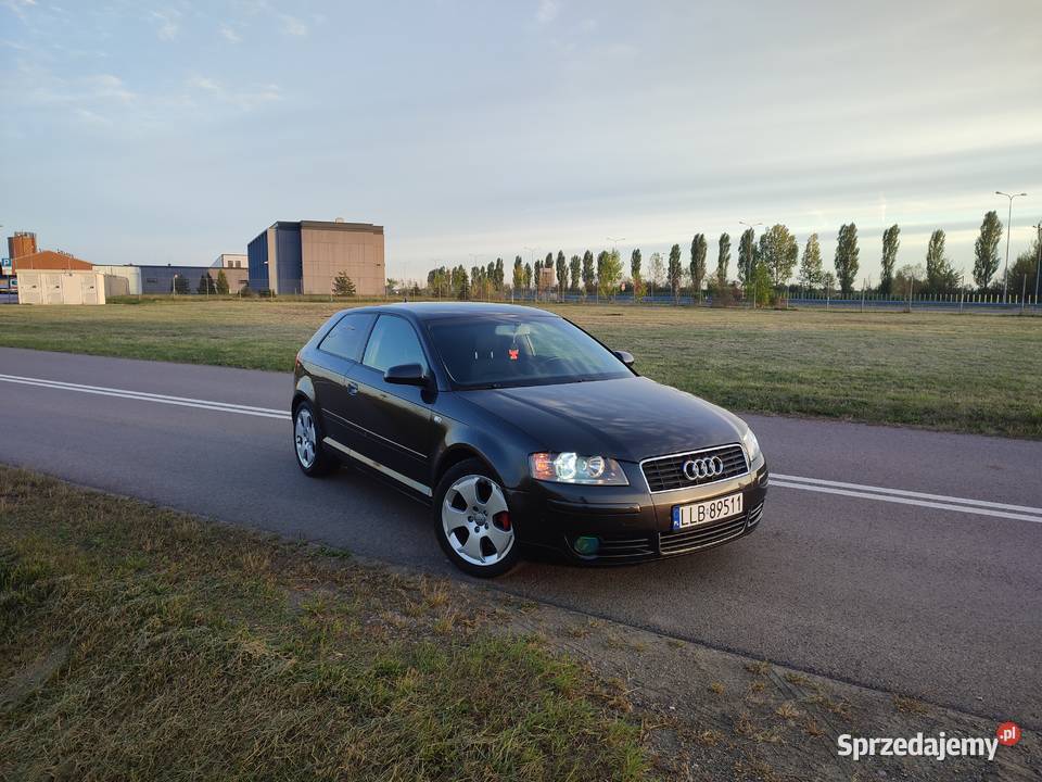 Audi A3 8p 16 Rok produkcji 2004 lubelskie Kurów