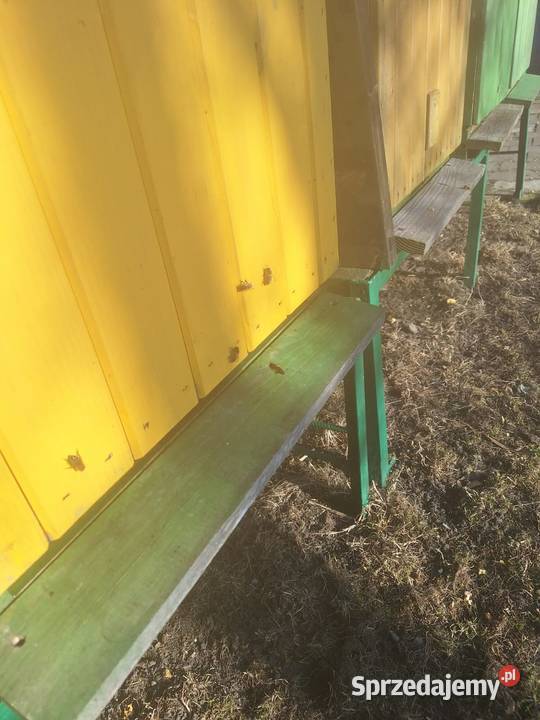 Sprzedam pszczoly Łaganów