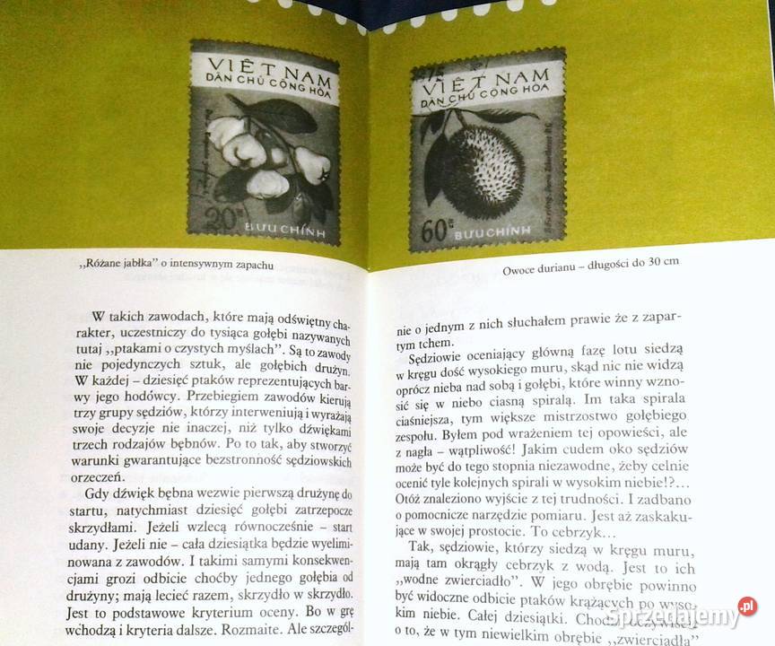 Kraj wielkie S Zbigniew Stolarek Chełm