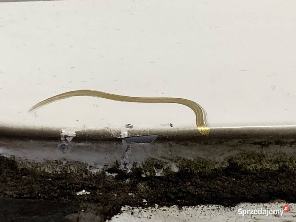 KLAPA TYŁ HYUNDAI ix20 Hatchback 7F CRYSTAL sprzedam