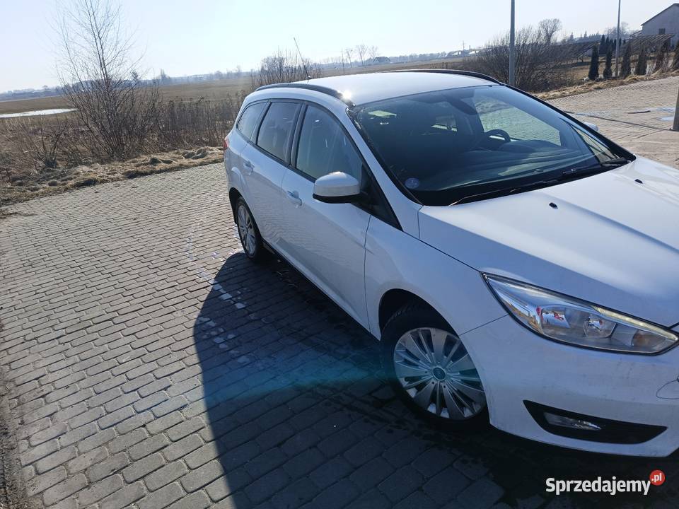 Ford Focus Mk 3 lift Focus Gniezno
