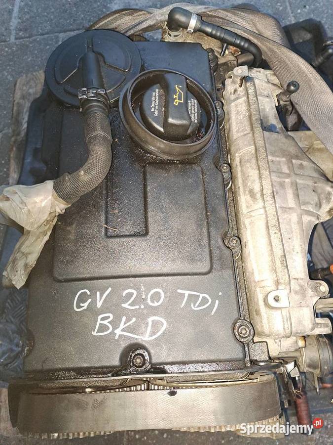 Audi Seat Skoda Volkswagen 20 16V TDi 140 silnik Rok produkcji 2009 Jastrzębie-Zdrój