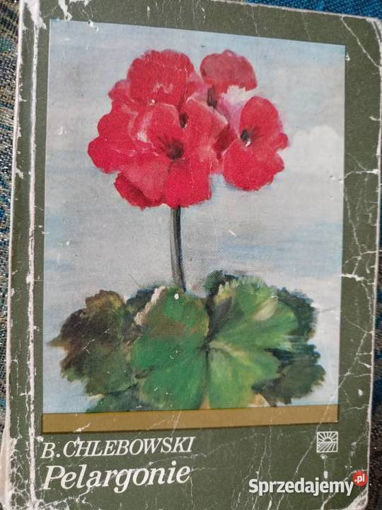 Pelargonie Książki Warszawa księgarnia Praga Rok wydania 1978