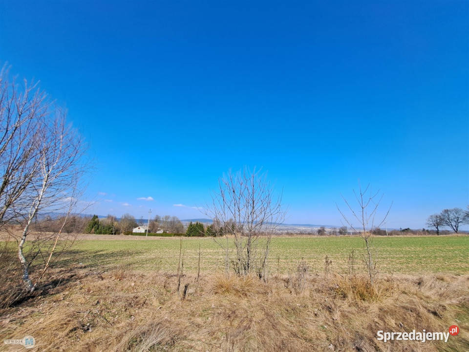 Działka Łagów 5974m2 świętokrzyskie