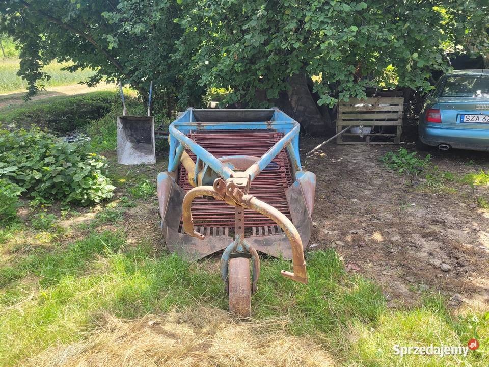 Kopaczka elewatorowa do ziemniaków Lelowice