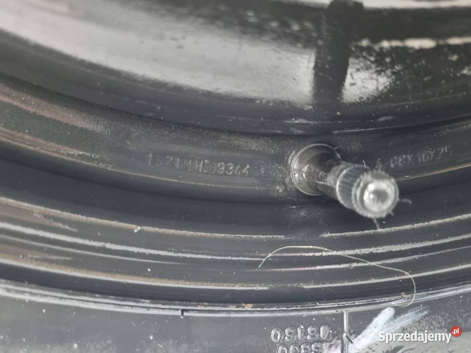 KOŁO DOJAZDOWE Ford C Focus Mk2 II 12590 R16 Chełm sprzedam