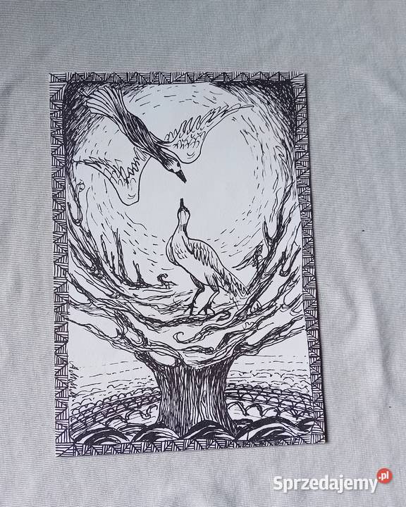 Pocztówka z ryciną ptaki budujące gniazdo Gazeta Koźminek