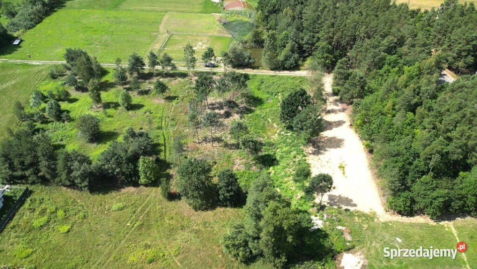 Działka budowlana 1000 m lesie Wincentówek Sprzedaż mazowieckie