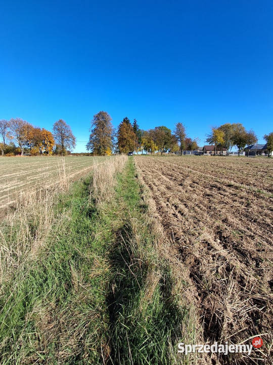 Sprzedam działka Żabia Wola 1003m2 lubelskie sprzedam
