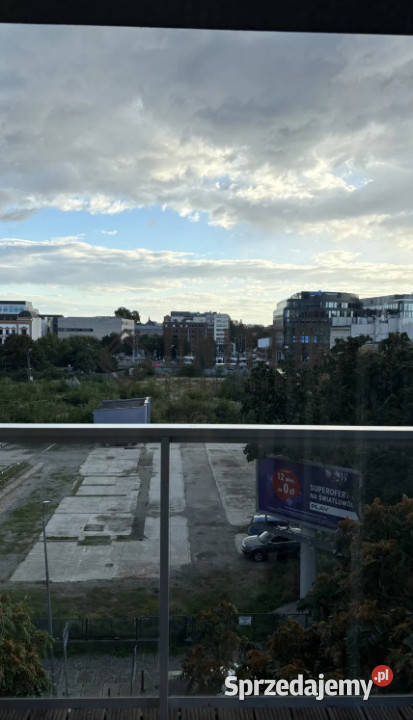 Drzewnej Wrocław