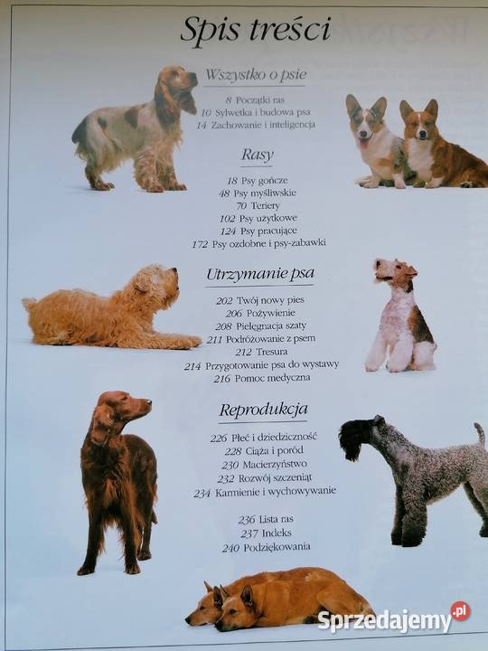 Księga psów podkarpackie Mielec