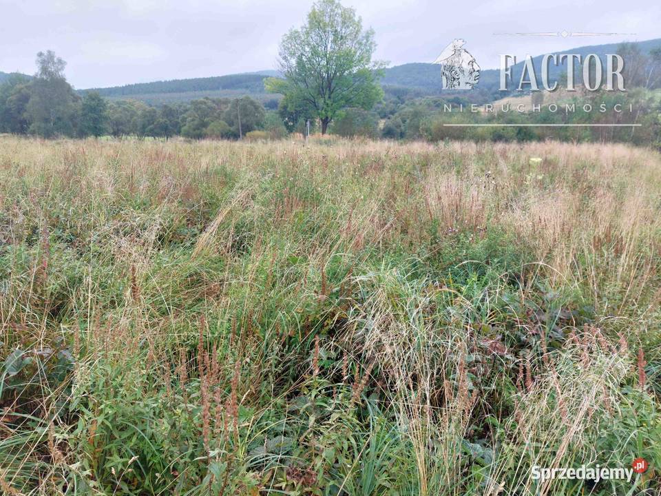 WysowaZdrój działka budowlana 10 a 1102S2023 Wysowa-Zdrój