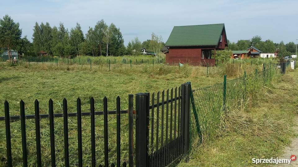 Sprzedam działkę ROD Rynia sprzedam