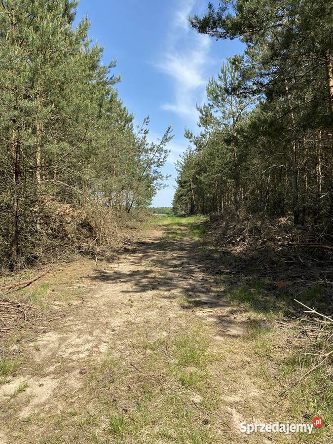 Siedlisko z potencjałem inwestycyjnym mieszkalny Worowice-Wyroby