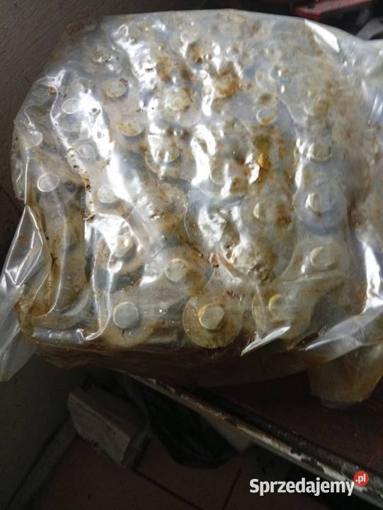 Łańcuch obrotu Cyklop Płock