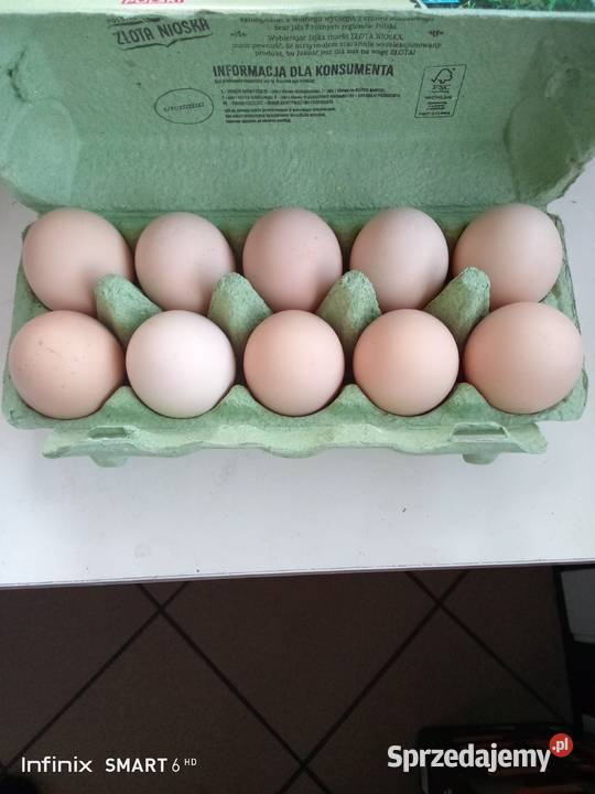 Jajka wiejskie Jaja Kostrzyn sprzedam