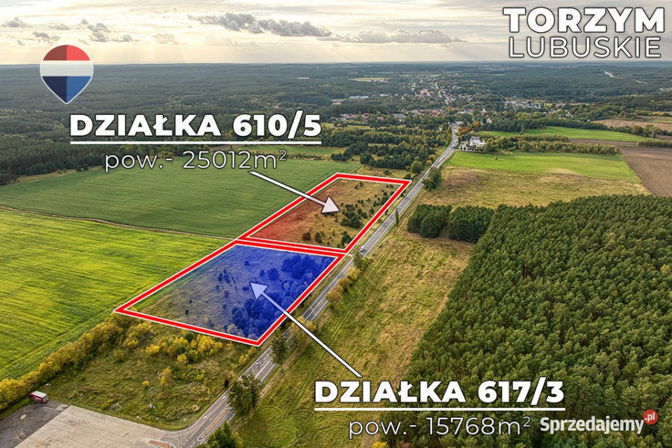 Na sprzedaż 2 działki z potencjałem rolna Torzym