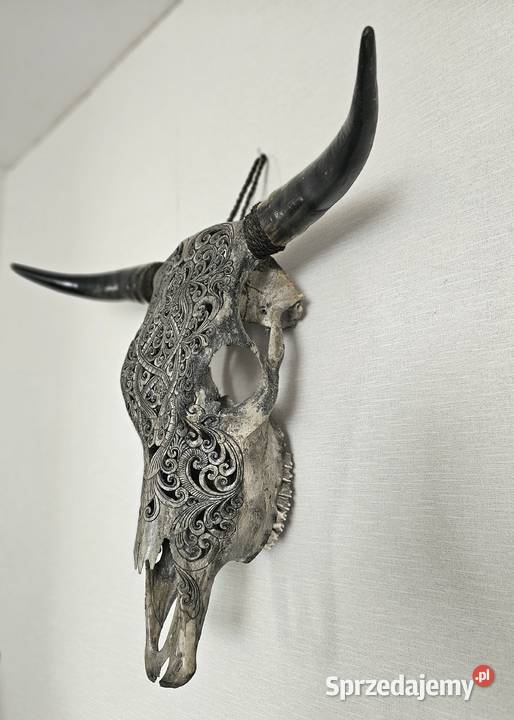 UNIKATRzeźbiona duża czaszka byka rękodzieło dolnośląskie Wałbrzych sprzedam