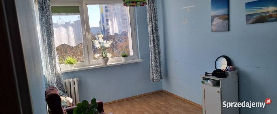 3pok 62met Sielskiej BALKONPIWNICAWINDA Wrocław Sprzedaż