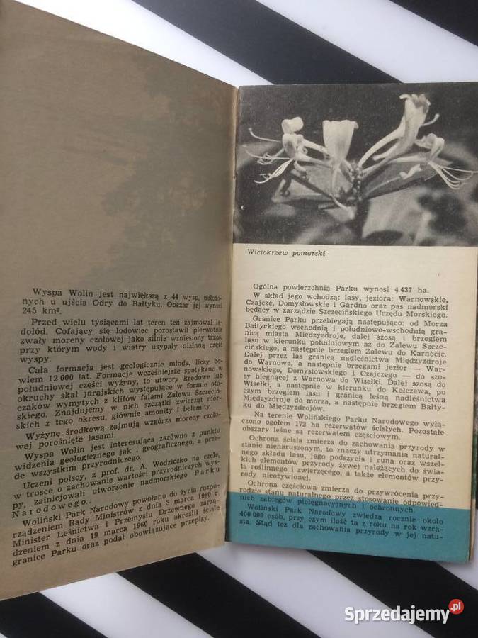 3571 Szlaki Piesze Wolińskiego Parku Narodowego Szczecin