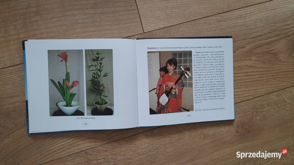 Anna Golisz Moja Japonia Serock