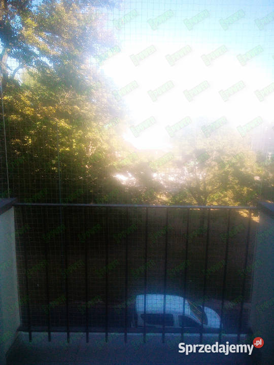 Montaż siatki ochronnej przeciw ptakom bez Pozostałe Warszawa