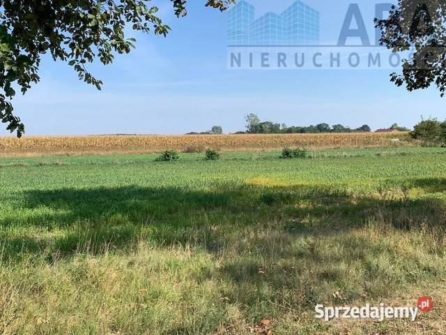 Złotkowy gm Rychwał 3 działki budowlane na 1228m2 wielkopolskie