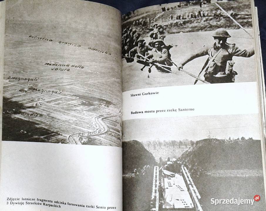 Bolonia 1945 Witold Biegański Chełm