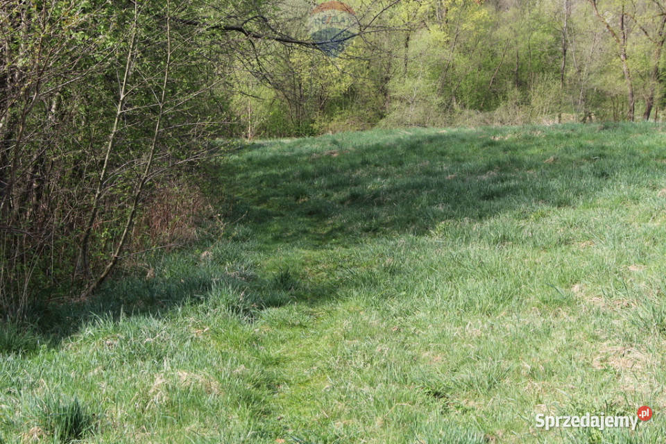 Kompleks działek w miejscowości Skomielna Biała