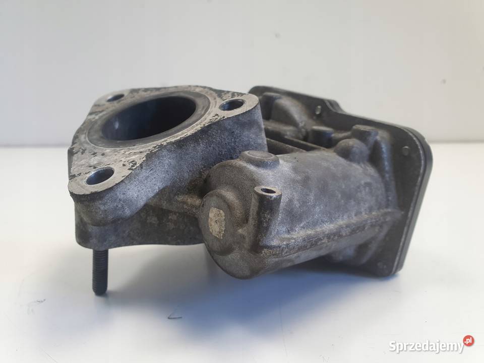 Renault Captur 15 DCI ZAWÓR EGR H8201143495 osobowe Przepustnice Rudka