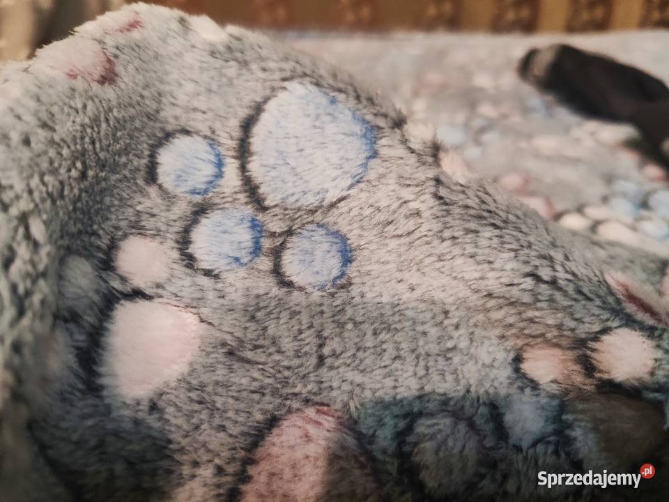 Buty psa do 9 3XL kocyk polarowy w łapki mazowieckie