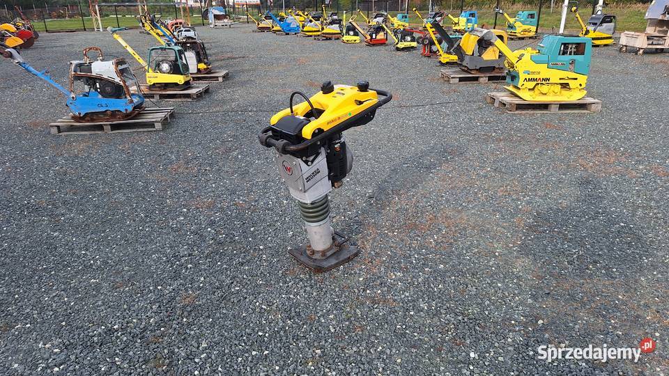 Skoczek Stopa WACKER NEUSON BS 502 plus 11in