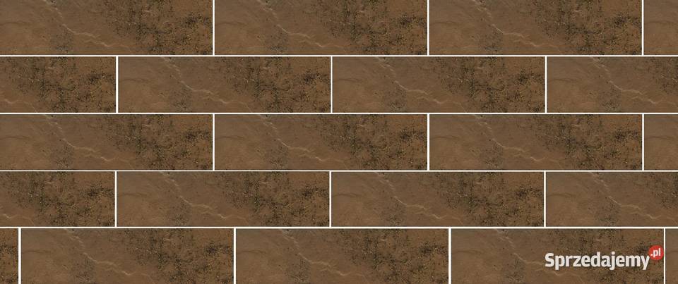 elewacja 245X66 asti beige gat1 paradyż DNIA